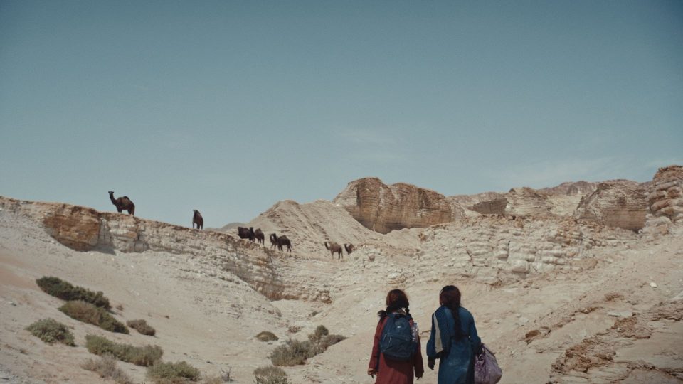 Still aus dem Film A CALLING . FROM THE DESERT . TO THE SEA. Zwei junge Frauen, die man nur von hinten sieht, laufen mit Gepäck durch eine kahle Wüste. Vor ihnen befindet sich ein steiniger Berg, auf dem Kamele laufen.