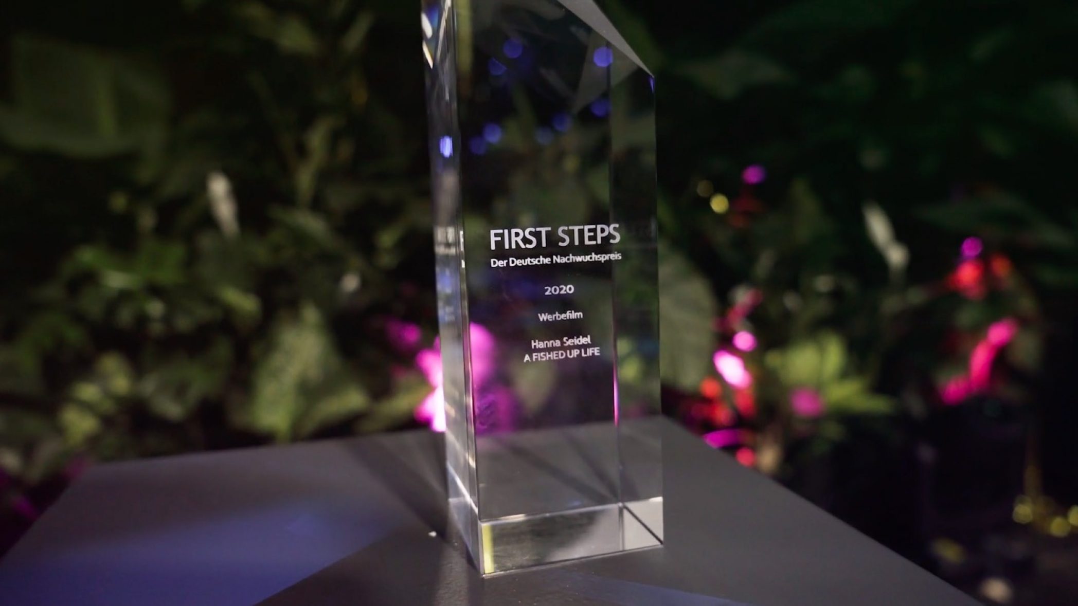 FIRST STEPS, Trophäe, Preis, Award